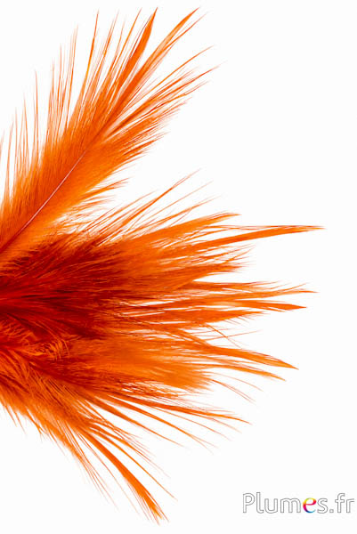 Kranich - 12-14 cm - orange